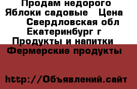 Продам недорого Яблоки садовые › Цена ­ 50 - Свердловская обл., Екатеринбург г. Продукты и напитки » Фермерские продукты   